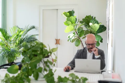 Lavoro concentrato al tavolo, tra le piante della sala